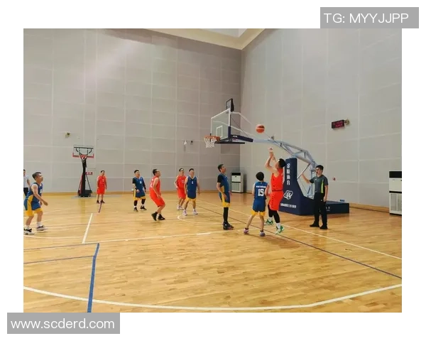 深度对话：杨娜如何在篮球世界中追寻梦想与挑战自我
